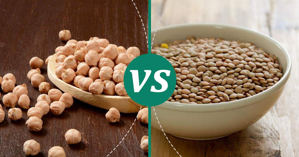 Lentil vs Garbanzo Beans Health Insights