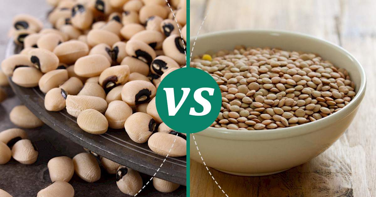 Lentil vs Black Eyed Peas Nutrition Showdown