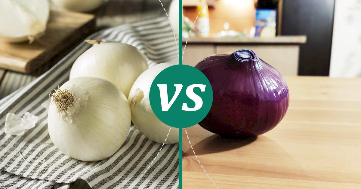 Red Onion vs White Onions Health Insights