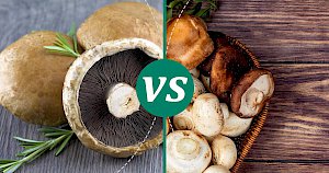 Mushrooms - calories, kcal, weight, nutrition