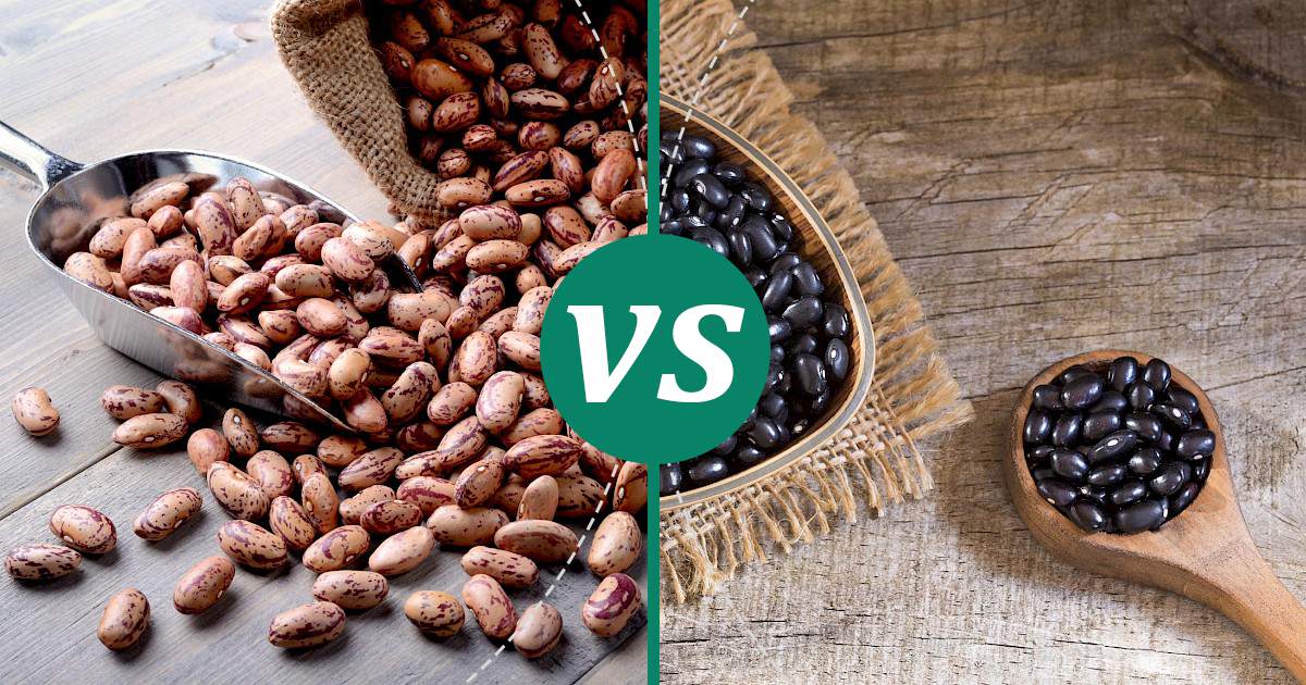 Carbs In Pinto Beans Vs Black Beans at William Carrier blog