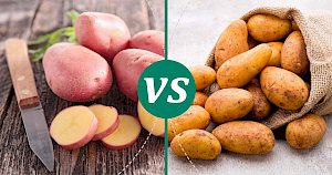 Russet potato - calories, kcal, weight, nutrition