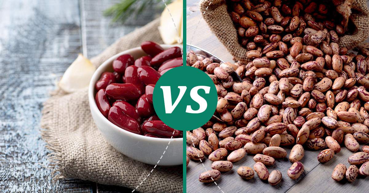 Pinto Beans vs Kidney Beans Nutrition Comparison