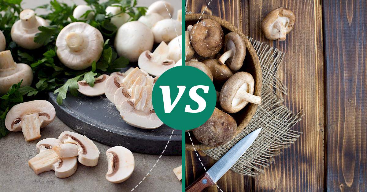 Shiitake Mushrooms vs White Mushrooms Make Healthy Choices