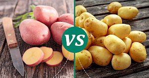 Baby potatoes - calories, kcal, weight, nutrition