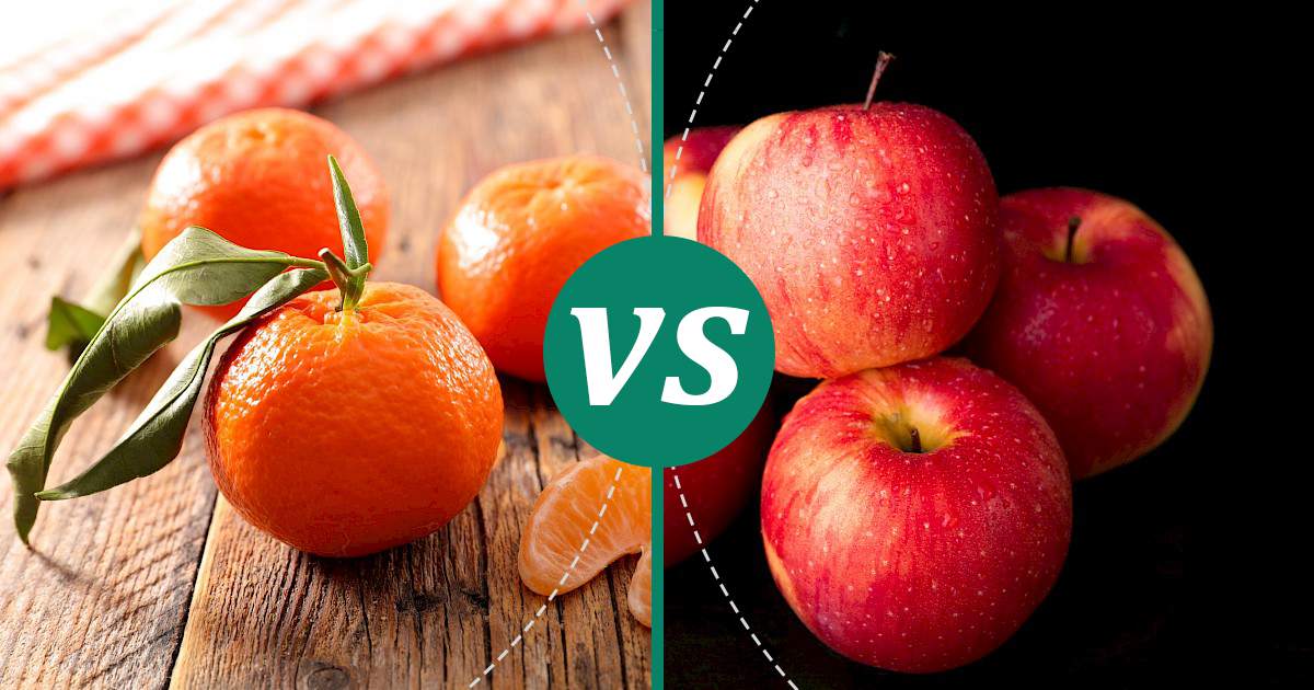 Apple vs Clementine Nutrition Guide