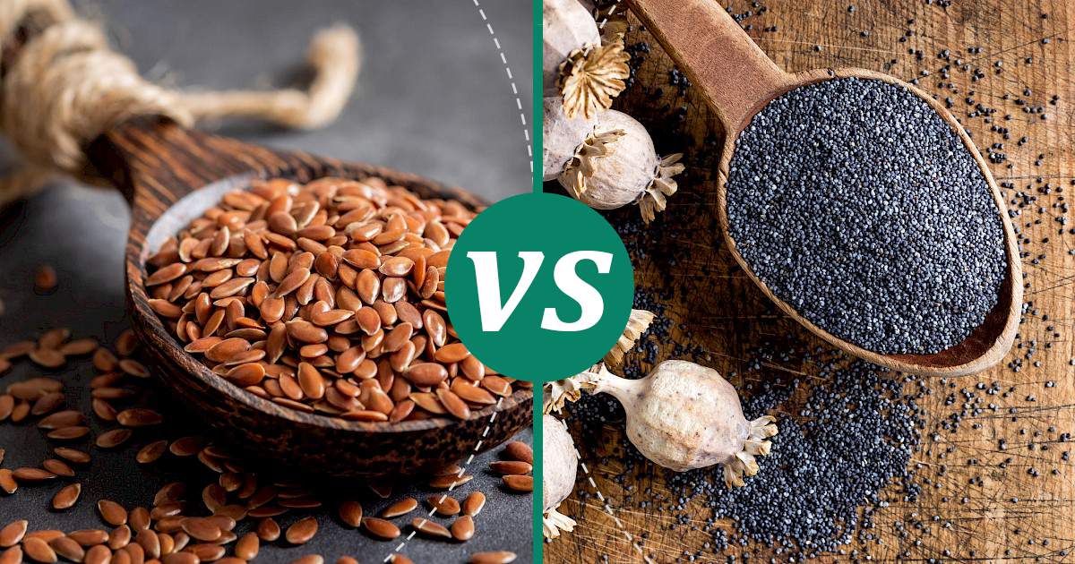 Poppy Seed vs Flaxseed Choose Wisely