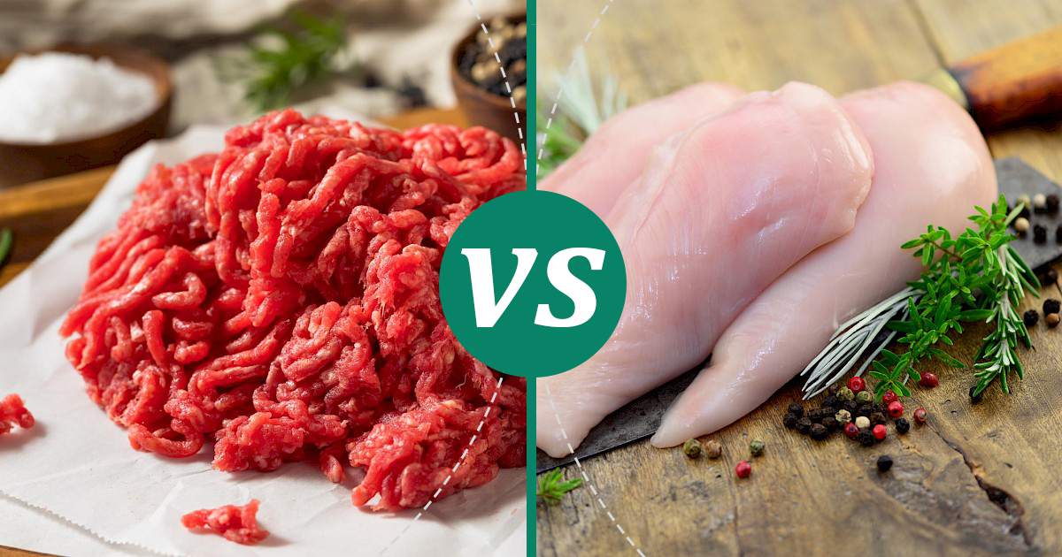Chicken Breast vs Ground Beef Nutrition Comparison