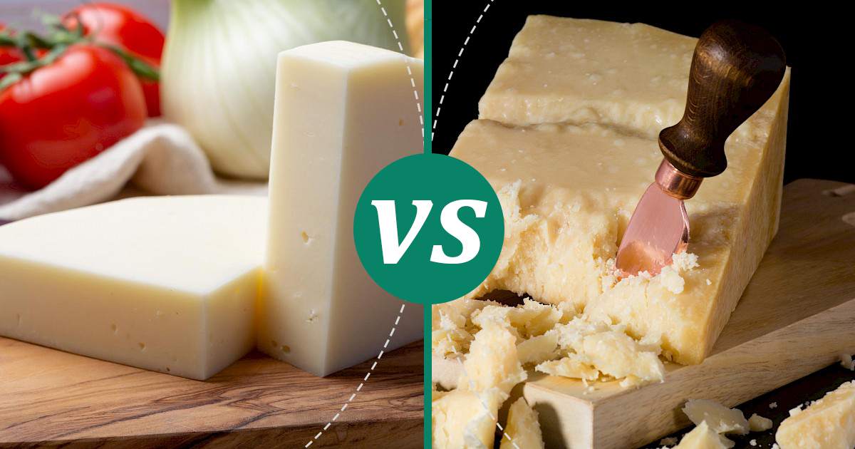 Parmesan vs Provolone Cheese Make Healthy Choices
