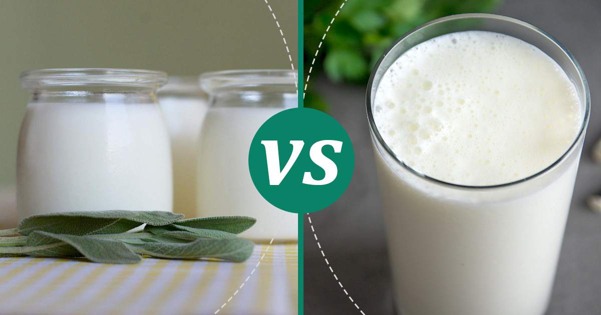 Buttermilk vs Skim Milk Nutrition Comparison