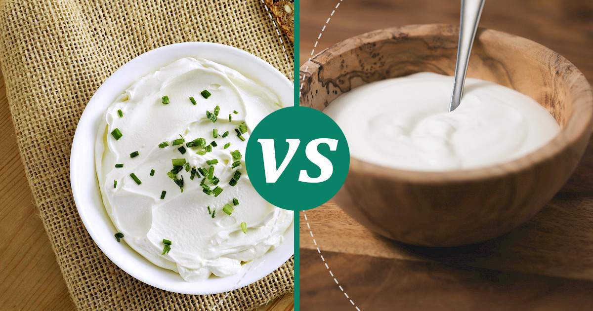 Sour Cream vs Cream Cheese Health Insights