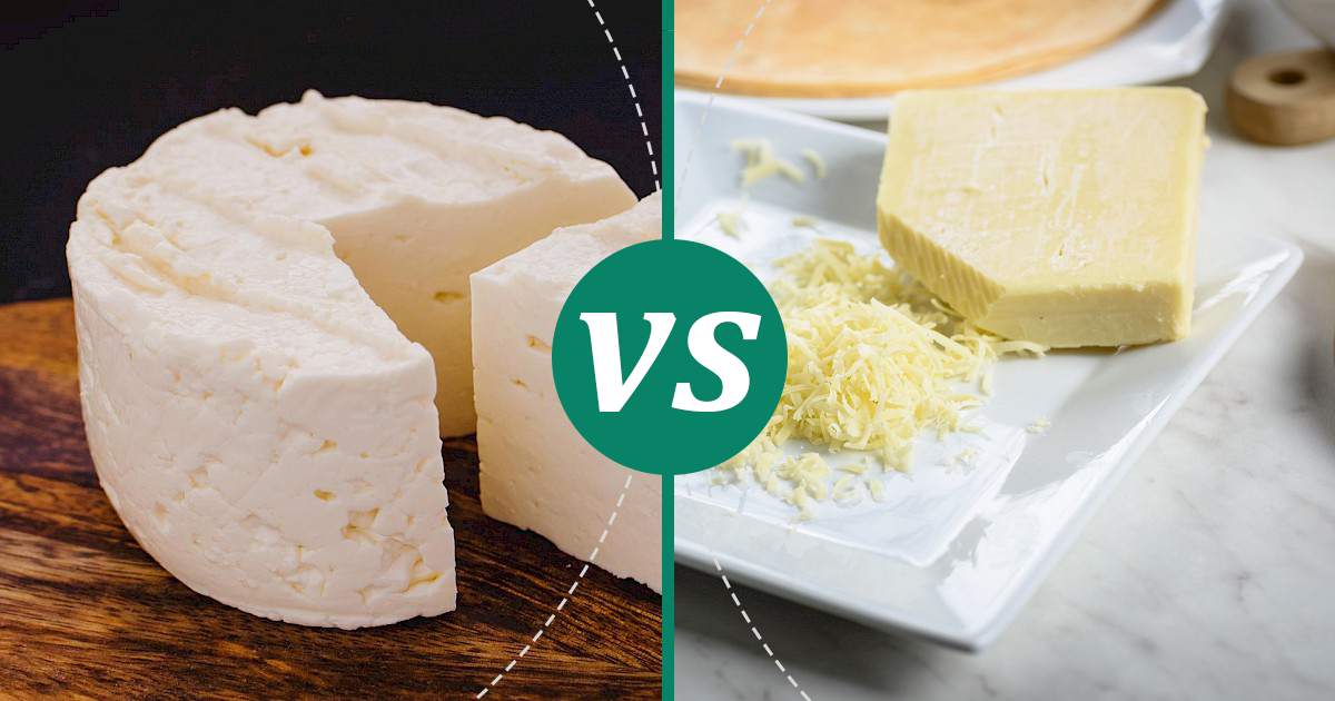 Cheddar vs Queso Fresco Nutrition Guide