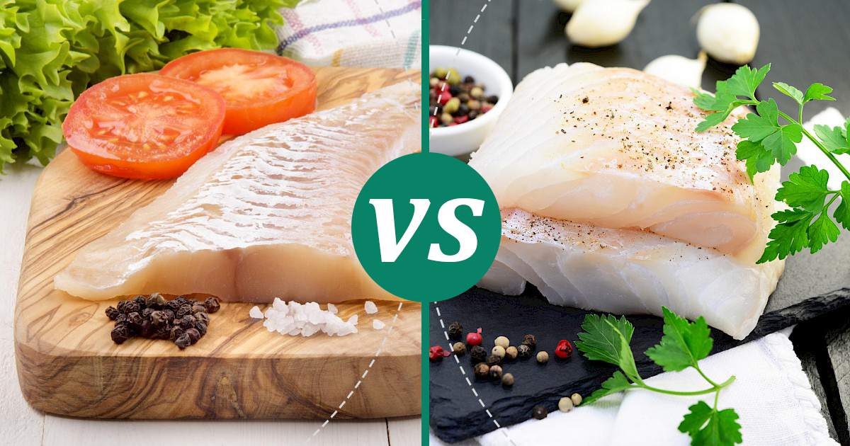 Cod Fillet vs Haddock Make Healthy Choices