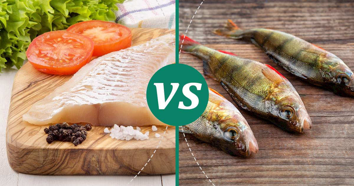 Perch vs Haddock Nutrition Guide
