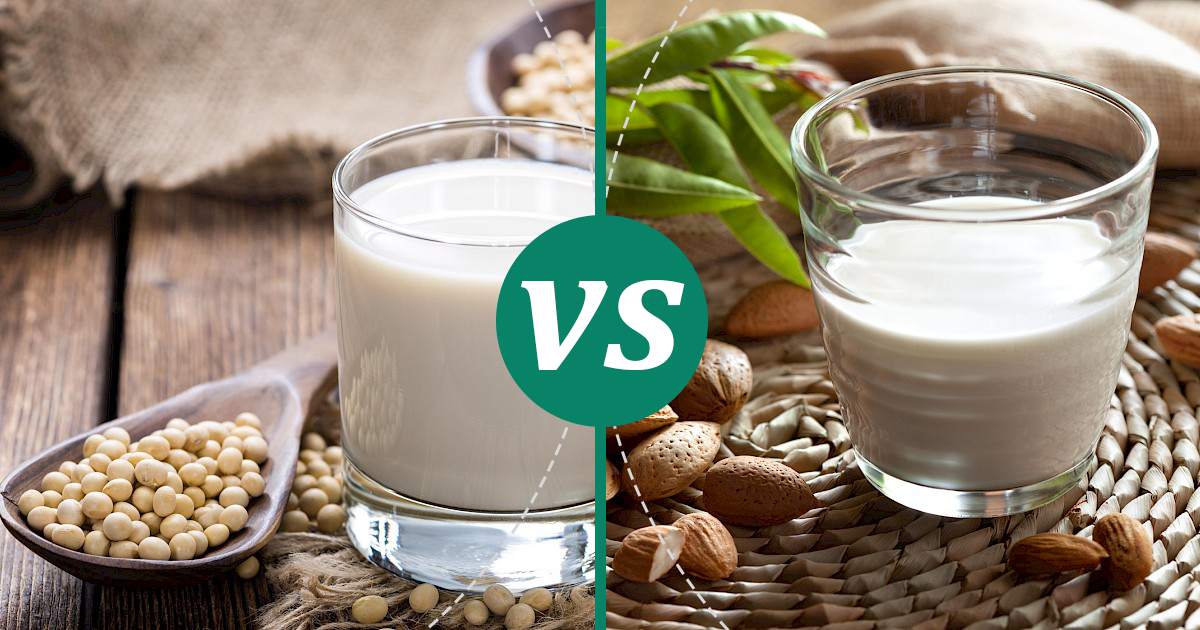 Is Almond Milk And Soy Milk The Same