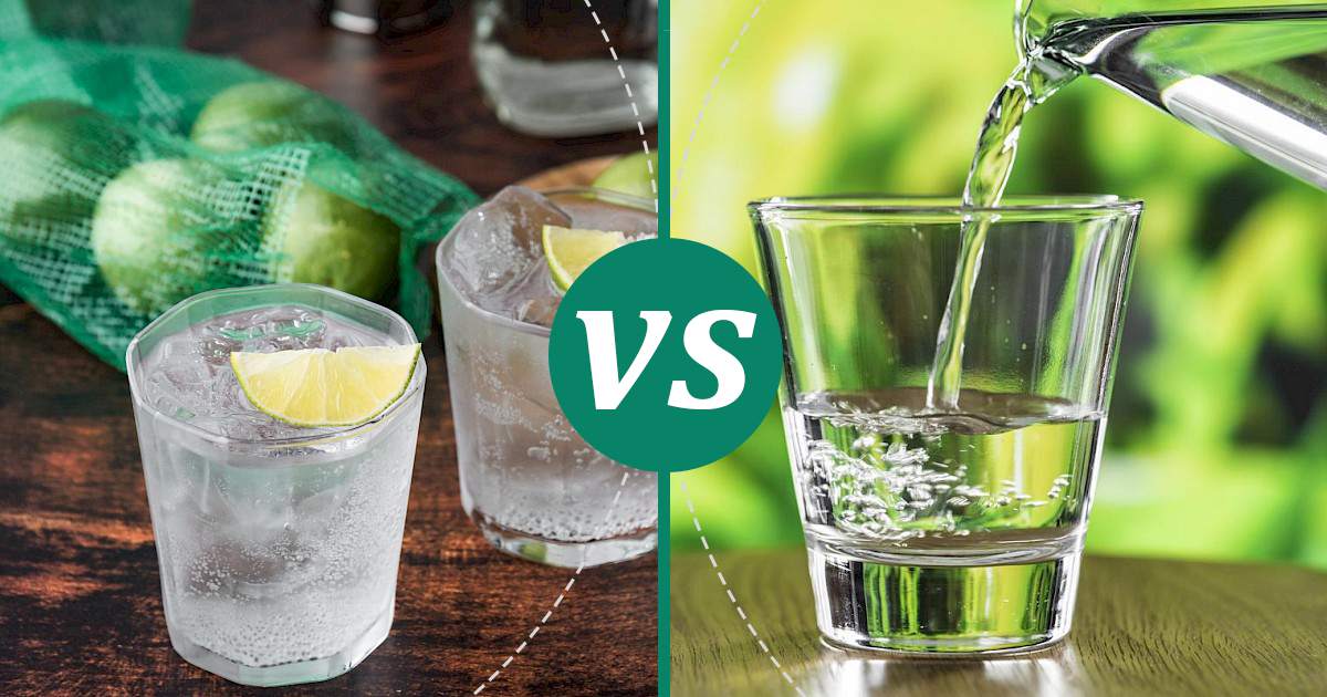 Water vs Tonic Water What Should You Choose?