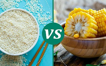 corn vs rice - calories, nutrition, weight
