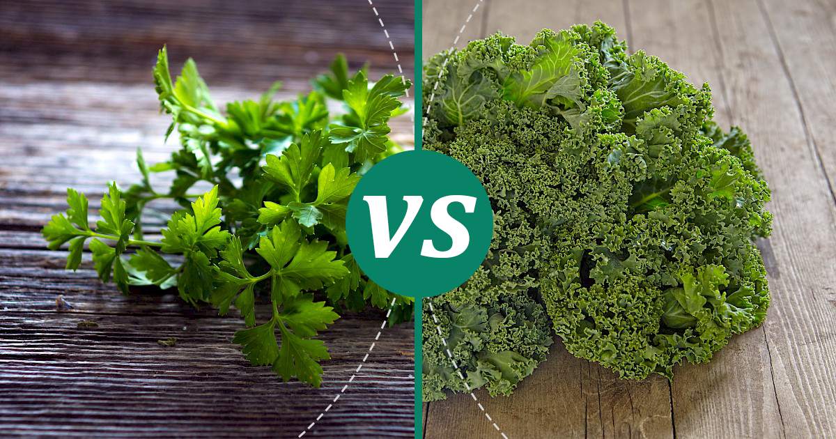 Kale vs Parsley Nutrition Comparison