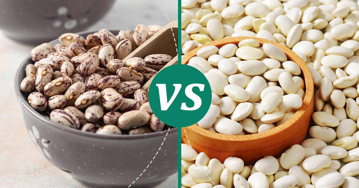 Lima Beans vs Soybean Make Healthy Choices