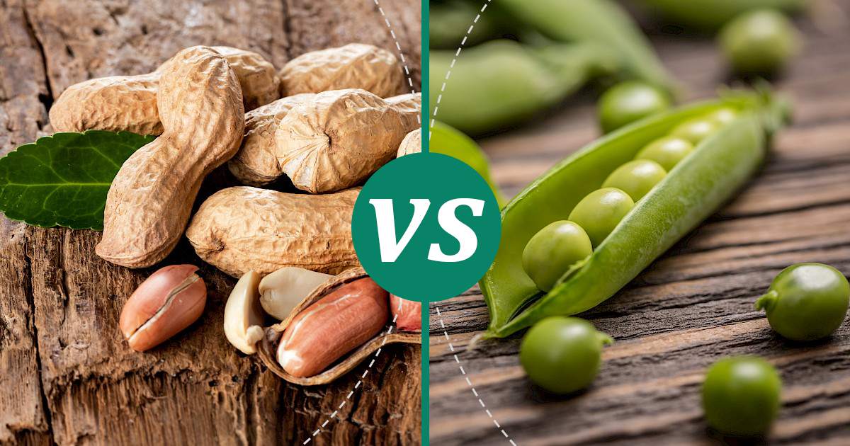 Peas vs Peanuts Choose Wisely