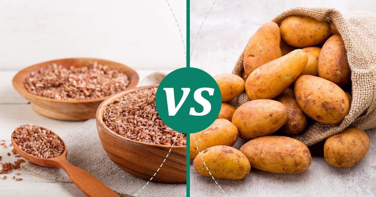 Russet Potato vs Brown Rice Choose Wisely