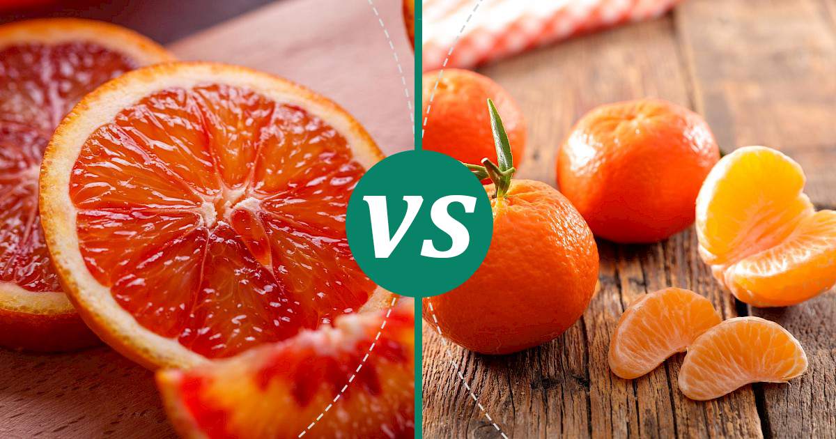 Clementine vs Blood Orange Choose Wisely
