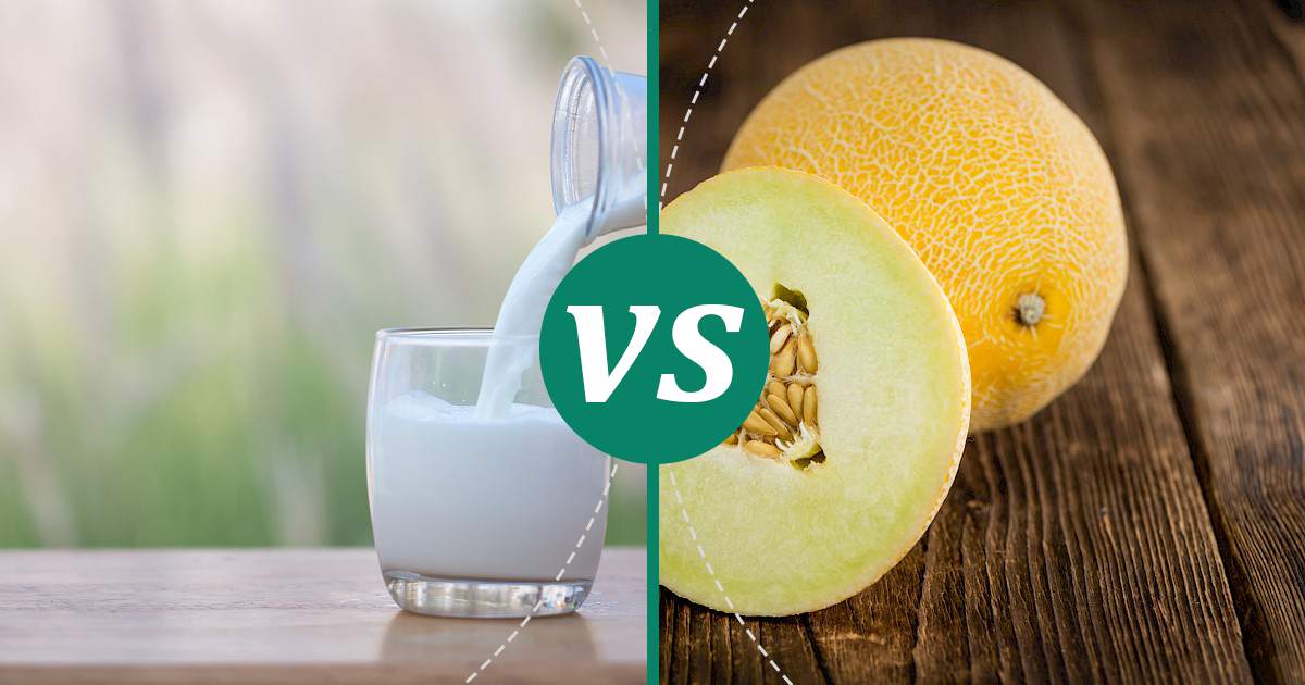 Melon vs Whole Milk Health Insights
