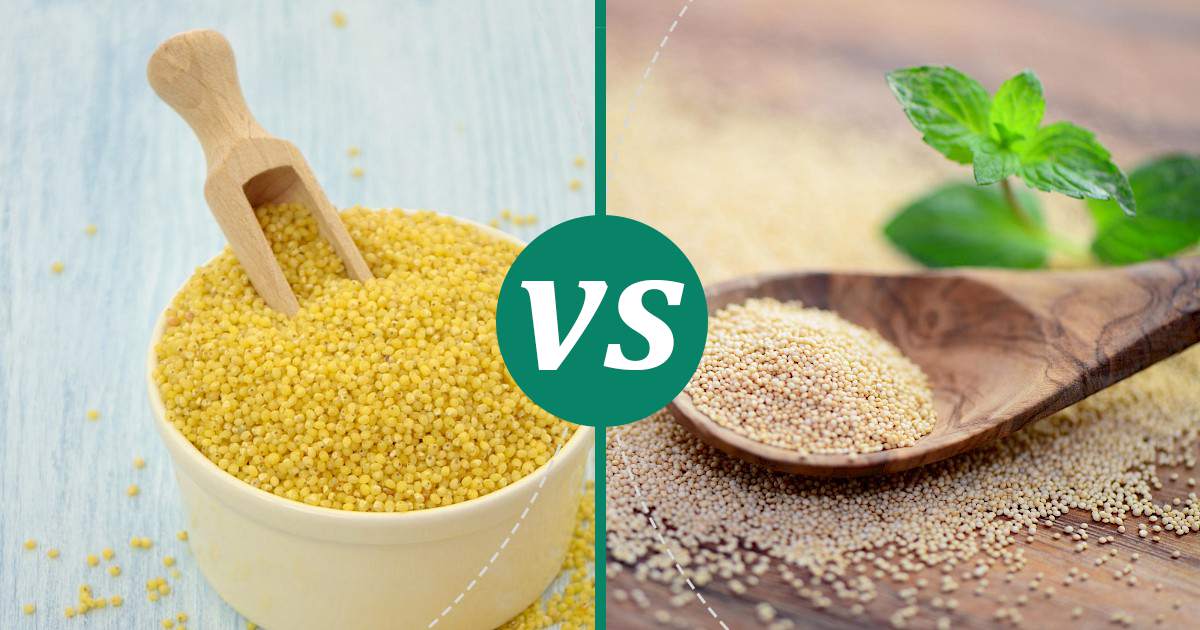 Amaranth vs Millet Nutrition Guide