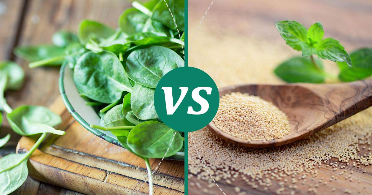 Amaranth vs Spinach What Should You Choose?