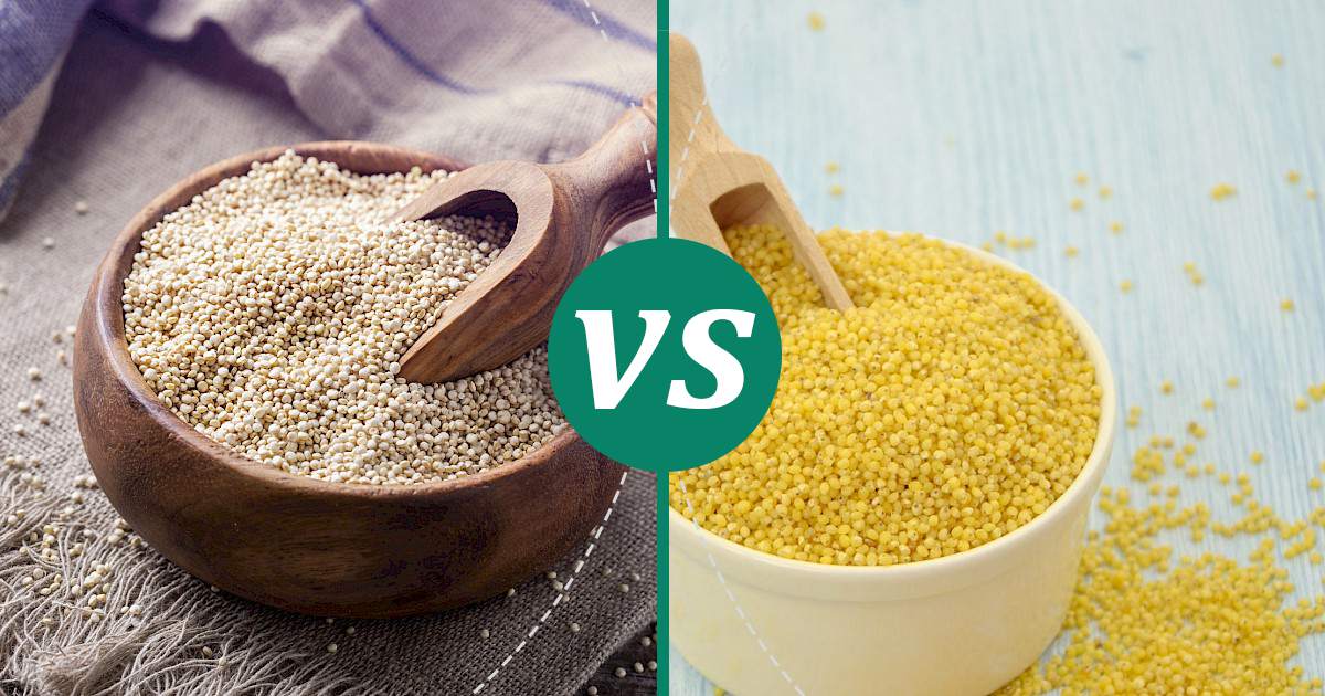 Millet vs Quinoa The Healthier Choice