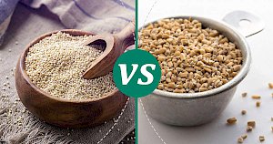 Steel cut oats - calories, kcal, weight, nutrition