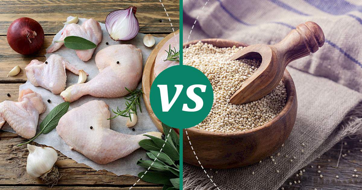 Quinoa vs Chicken Nutrition Comparison