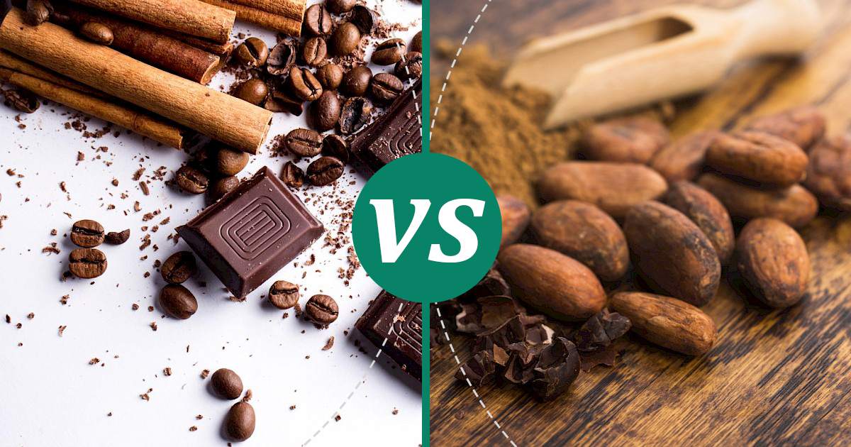 Cocoa vs Dark Chocolate What Should You Choose?