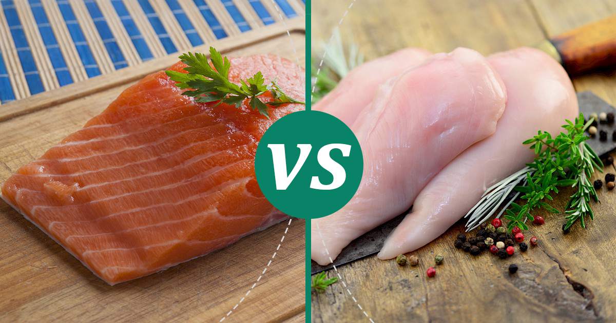 Chicken Breast vs Salmon Nutrition Showdown
