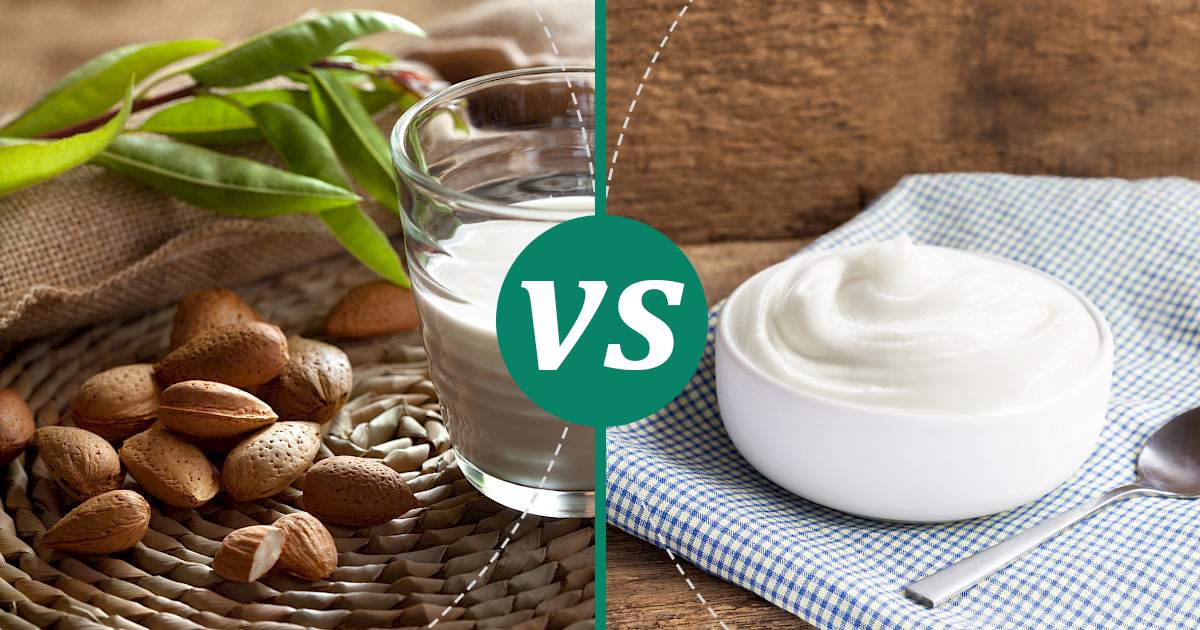 Greek Yoghurt vs Almond Milk Nutrition Showdown