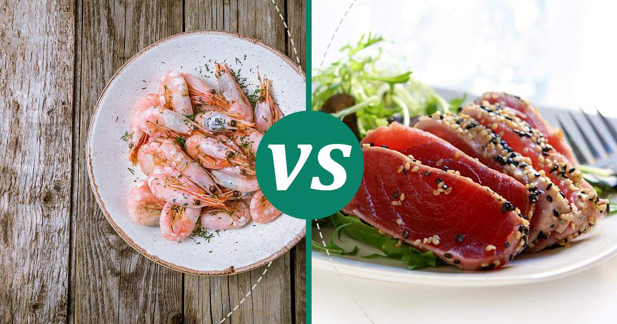 Ahi Tuna vs Shrimp What Should You Choose?