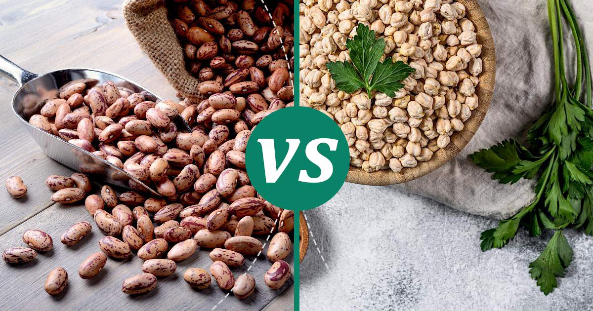 Chickpeas vs Pinto Beans What Should You Choose?