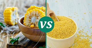 Millet - calories, kcal, weight, nutrition