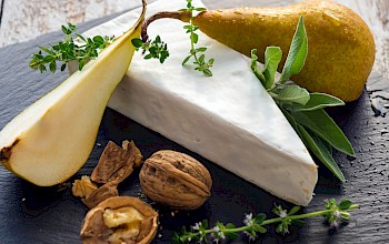 Brie vs cream cheese