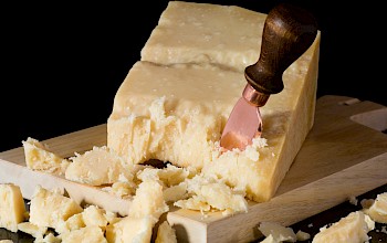 Parmesan vs sharp cheddar cheese