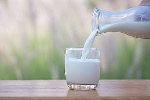 Whole milk - calories, kcal, weight, nutrition