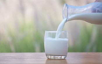 Whole milk - calories, nutrition, weight