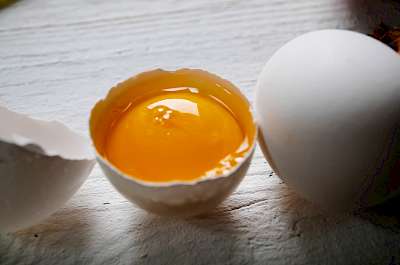 Egg yolk - calories, kcal