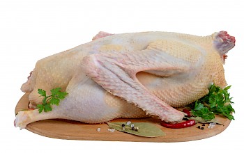 chicken vs goose meat