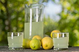 Lemon juice - calories, kcal