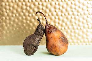 Dried pears - calories, kcal, weight, nutrition