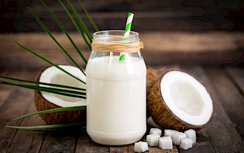 coconut milk vs skimmed milk