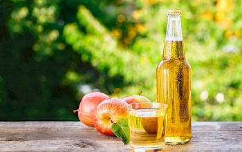 Cider - calories, nutrition, weight