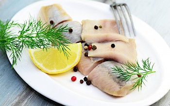 herring vs salmon