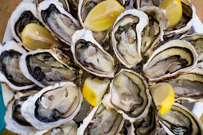 Oyster - calories, kcal